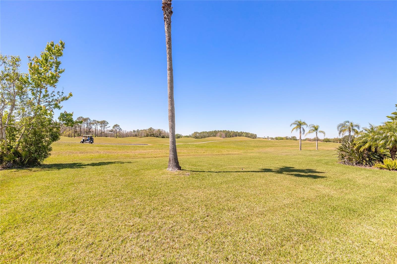Daytona Beach, Florida, 32124, United States, 5 Bedrooms Bedrooms, ,4 BathroomsBathrooms,Residential,Active,1945086