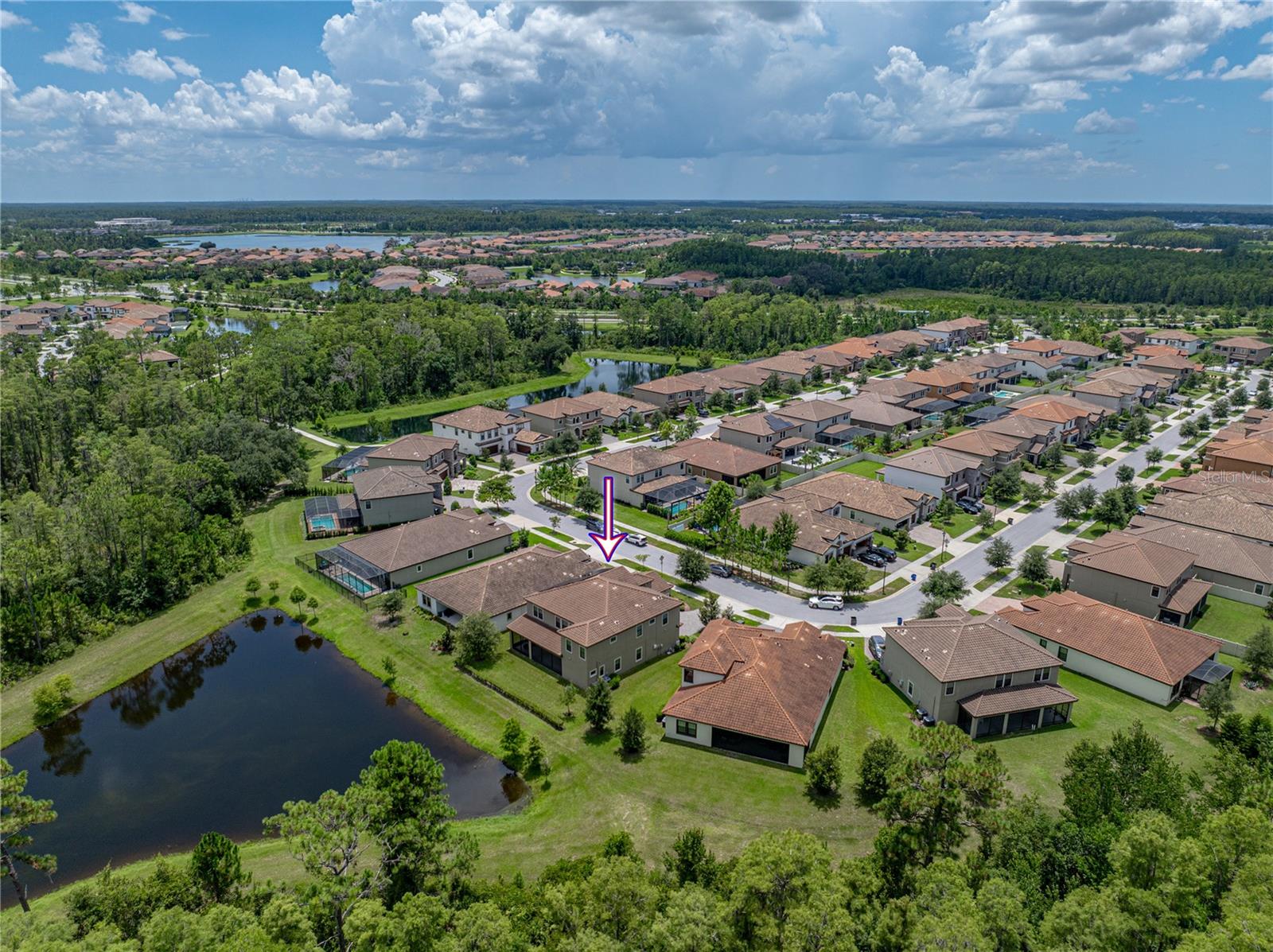 Odessa, Florida, 33556, United States, 5 Bedrooms Bedrooms, ,5 BathroomsBathrooms,Residential,Active,1909867