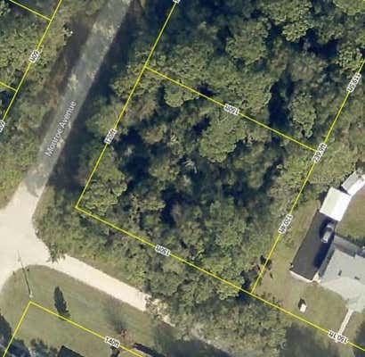 MONROE AVE, MASARYKTOWN, FL 34604 - Image 1