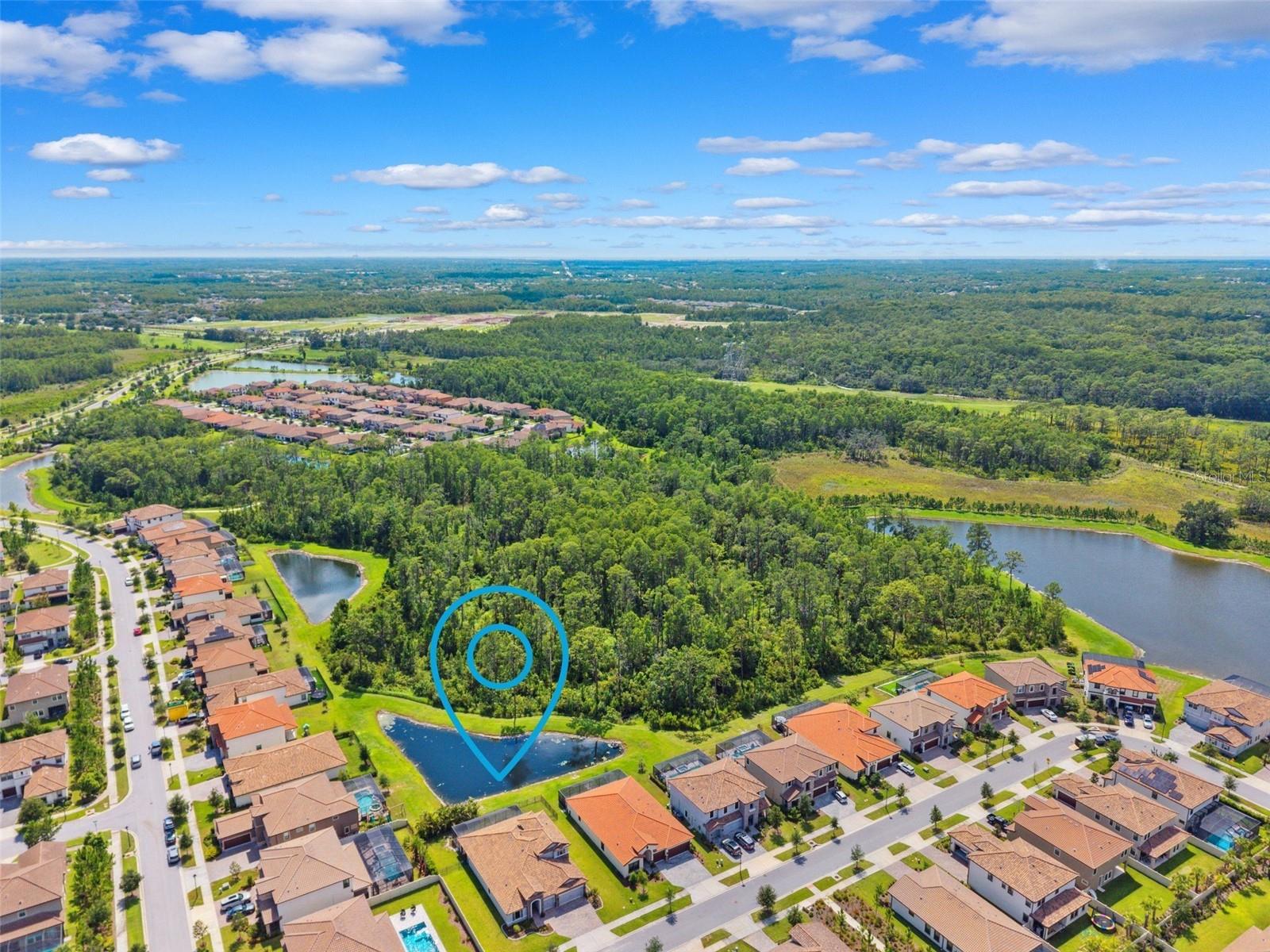 Odessa, Florida, 33556, United States, ,4 BathroomsBathrooms,Residential,Active,1869150
