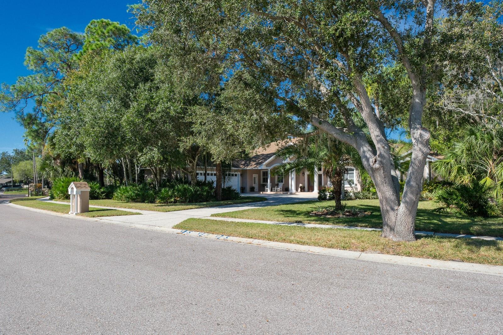 Oldsmar, Florida, 34677, United States, 5 Bedrooms Bedrooms, ,4 BathroomsBathrooms,Residential,Active,2009416