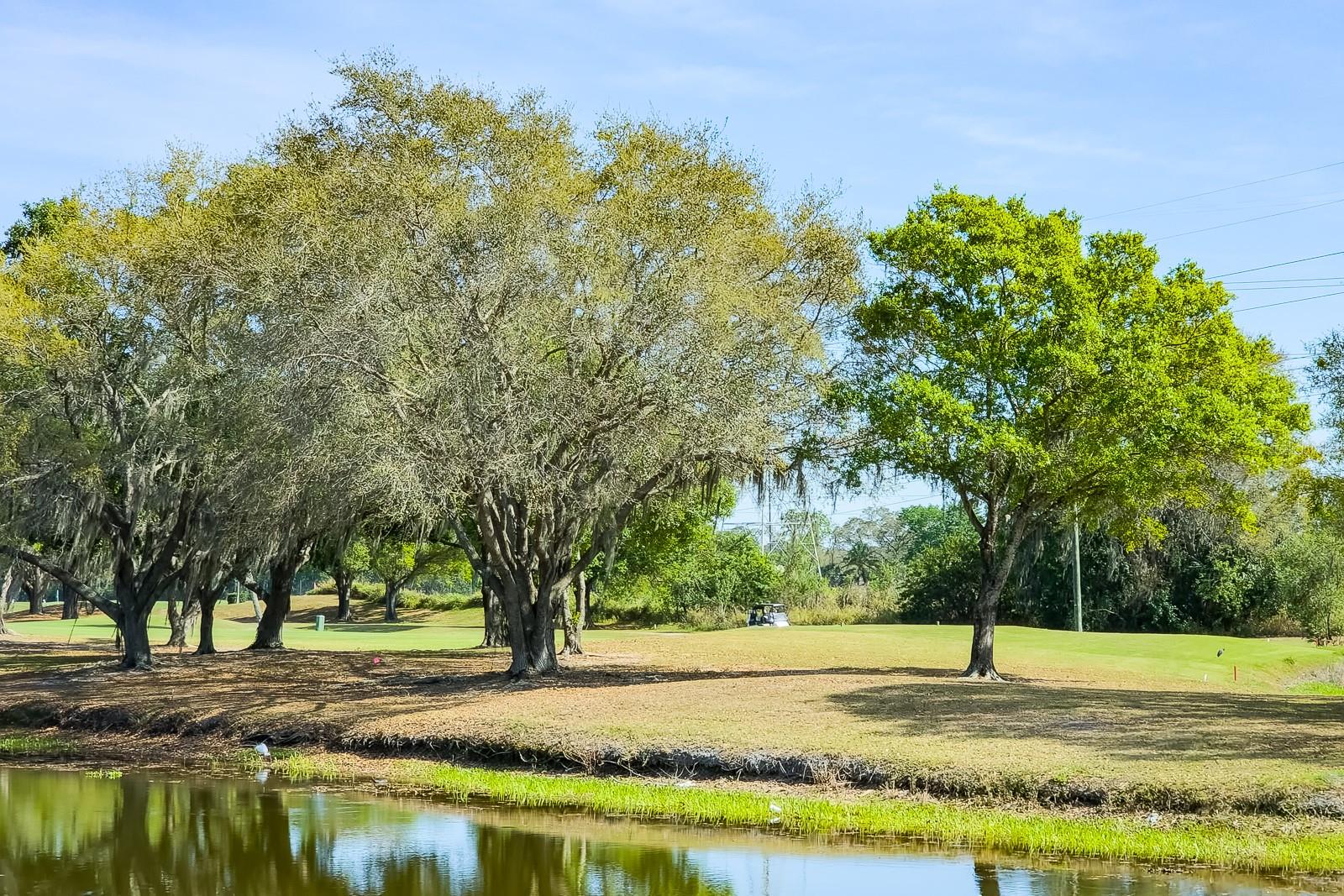 Oldsmar, Florida, 34677, United States, 5 Bedrooms Bedrooms, ,4 BathroomsBathrooms,Residential,Active,2009416
