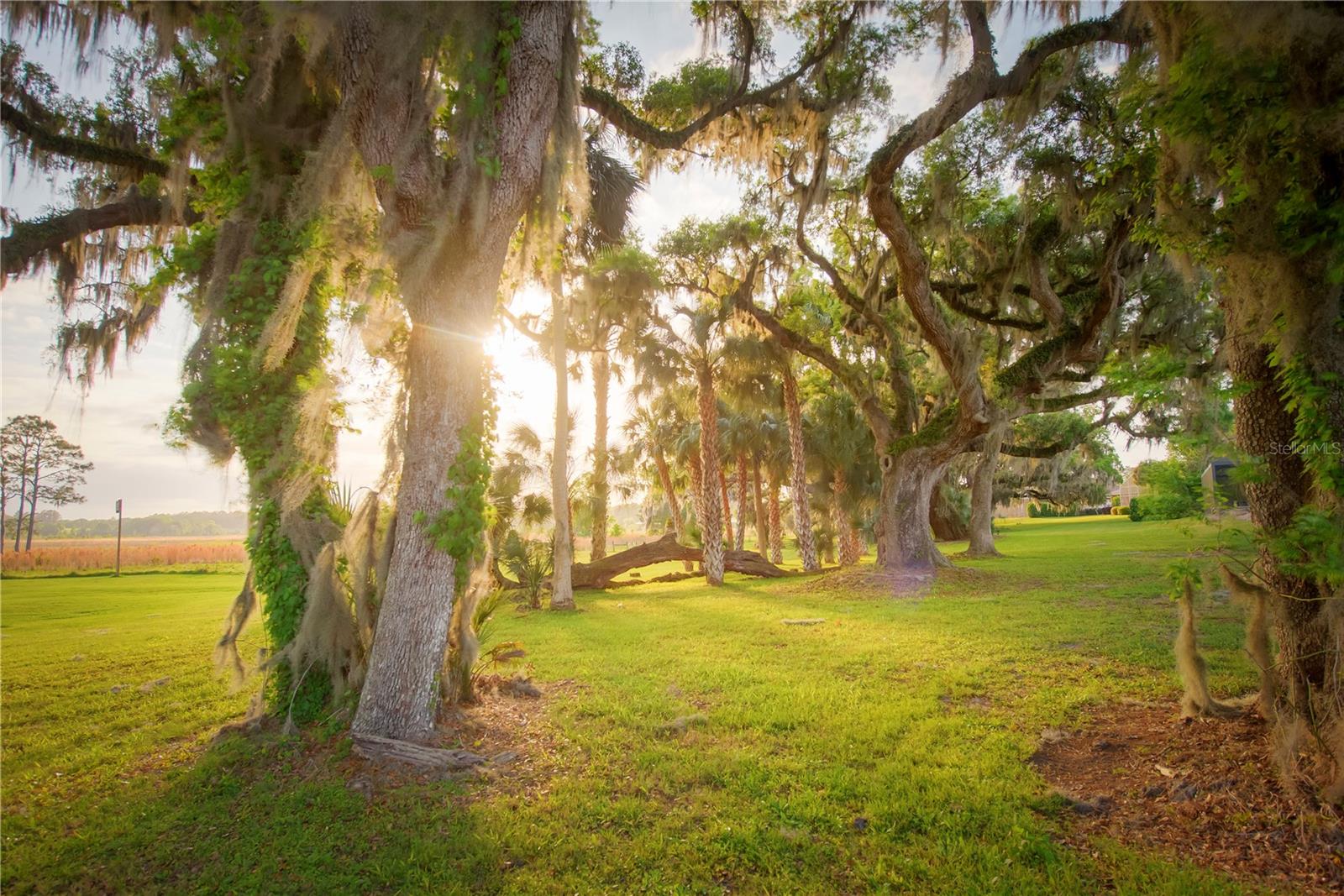 Gainesville, Florida, 32608, United States, 4 Bedrooms Bedrooms, ,3 BathroomsBathrooms,Residential,Active,1989761