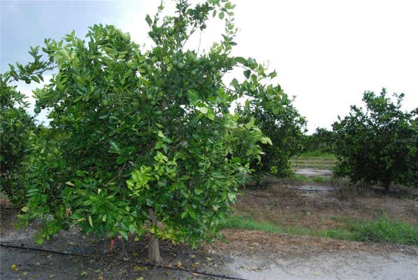 NE HIGHWAY 70 #3-19-57, ARCADIA, FL 34266 - Image 1