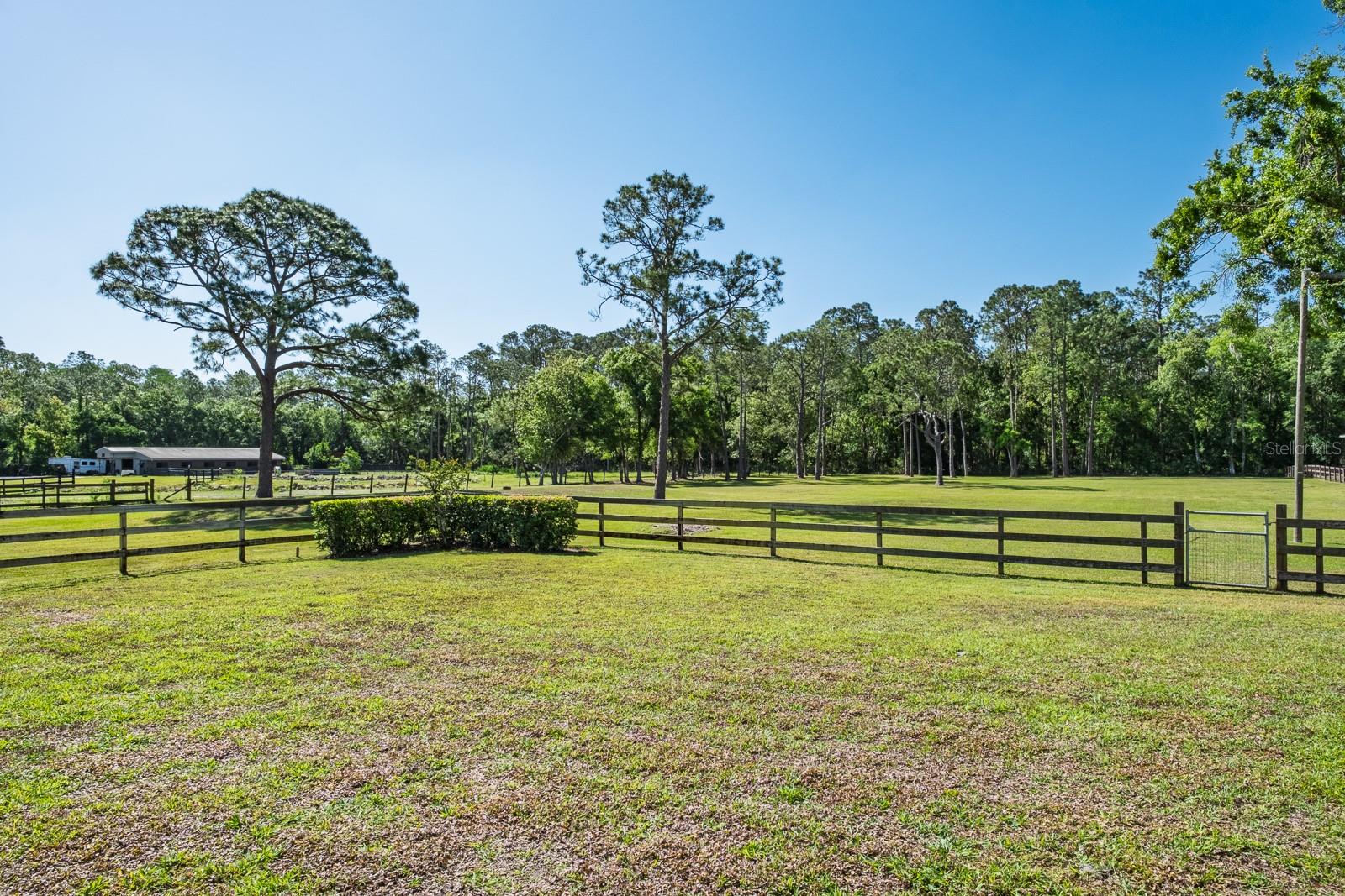 Tarpon Springs, Florida, 34688, United States, 4 Bedrooms Bedrooms, ,4 BathroomsBathrooms,Residential,Active,1841287