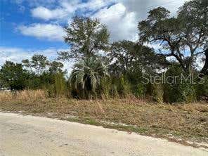 32206 3RD AVE, DELAND, FL 32720 - Image 1