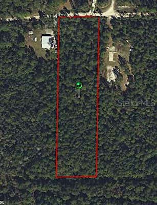 SWAMP DEER RD, NEW SMYRNA BEACH, FL 32168 - Image 1