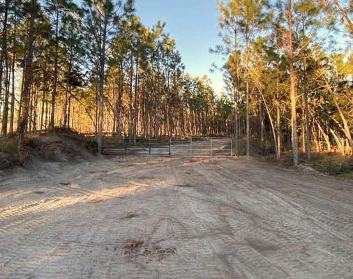 2988 SW COUNTY ROAD 534, MAYO, FL 32066, photo 2 of 8