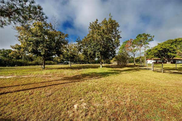 40635 THOMAS BOAT LANDING RD, UMATILLA, FL 32784 - Image 1