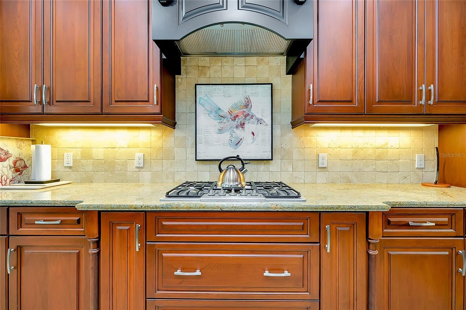 Venice, Florida, 34285, United States, 3 Bedrooms Bedrooms, ,3 BathroomsBathrooms,Residential,Active,2008926