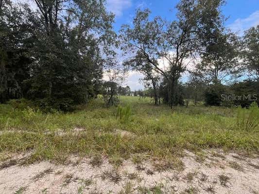 TBD SE 71ST LANE, MORRISTON, FL 32668 - Image 1