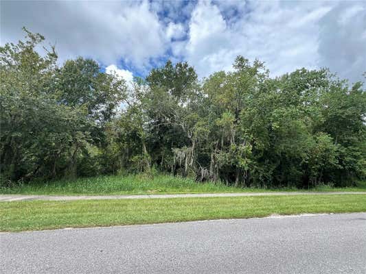 1007 WALLER ST, PLANT CITY, FL 33563 - Image 1