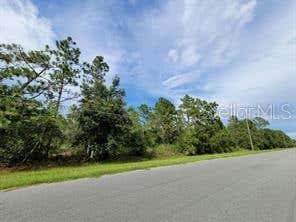 LOT 233 QUARTERLY PARKWAY, ORLANDO, FL 32833 - Image 1