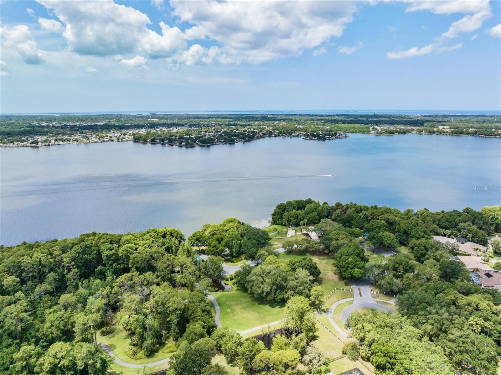 Palm Harbor, Florida, 34685, United States, ,4 BathroomsBathrooms,Residential,Active,1810371