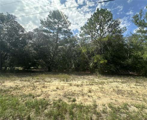 00 FISHER WAY TRAIL, OCKLAWAHA, FL 32179 - Image 1