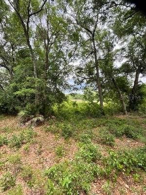 TBD 170TH SE AVENUE ROAD, OCKLAWAHA, FL 32179, photo 4 of 40