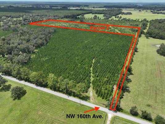 PARCEL C NW 160TH AVENUE, MORRISTON, FL 32668 - Image 1