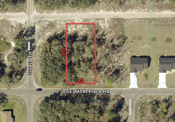 15475 SE 115TH PLACE RD, OCKLAWAHA, FL 32179 - Image 1