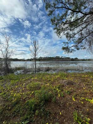 LOT 2 KEENE ROAD, ALTOONA, FL 32702 - Image 1