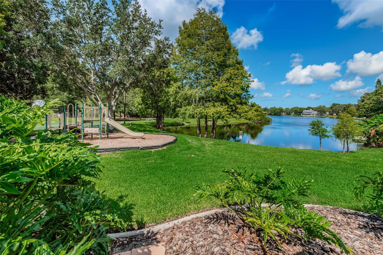 Palm Harbor, Florida, 34683, United States, 4 Bedrooms Bedrooms, ,4 BathroomsBathrooms,Residential,Active,2036020