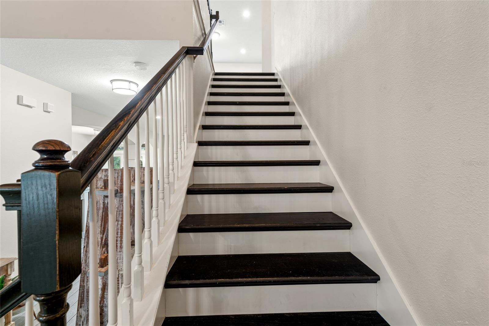 Lutz, Florida, 33549, United States, 7 Bedrooms Bedrooms, ,5 BathroomsBathrooms,Residential,Active,1934823