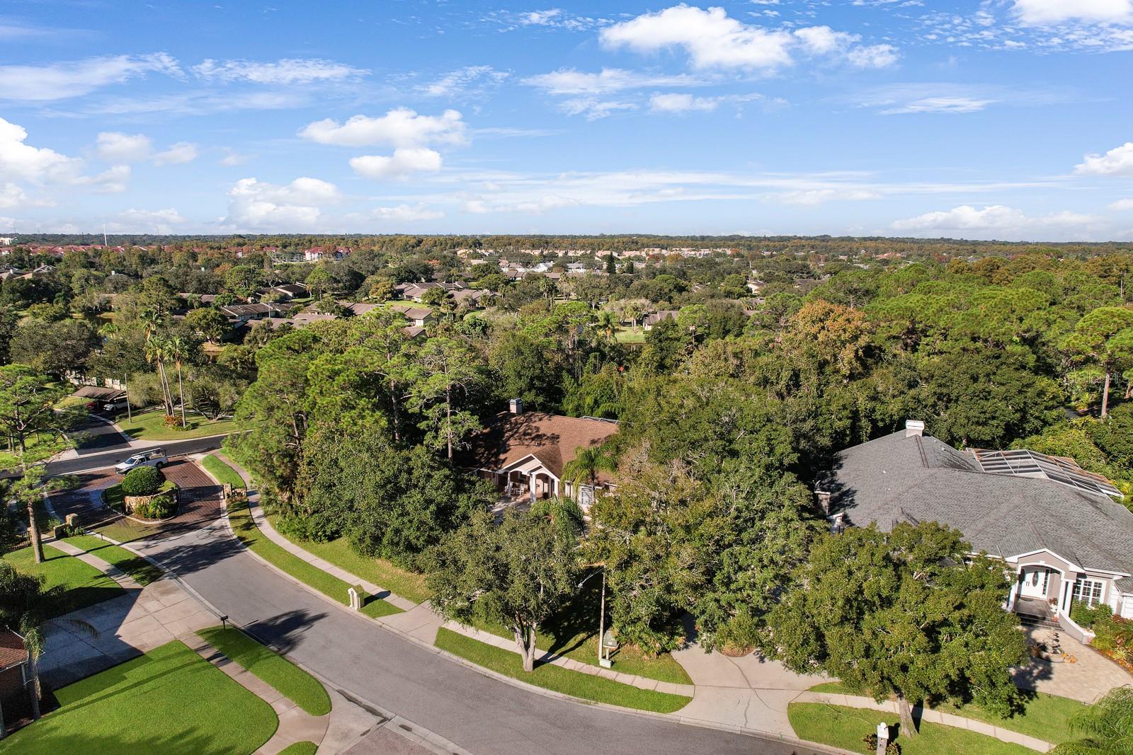 Oldsmar, Florida, 34677, United States, 5 Bedrooms Bedrooms, ,4 BathroomsBathrooms,Residential,Active,2009416