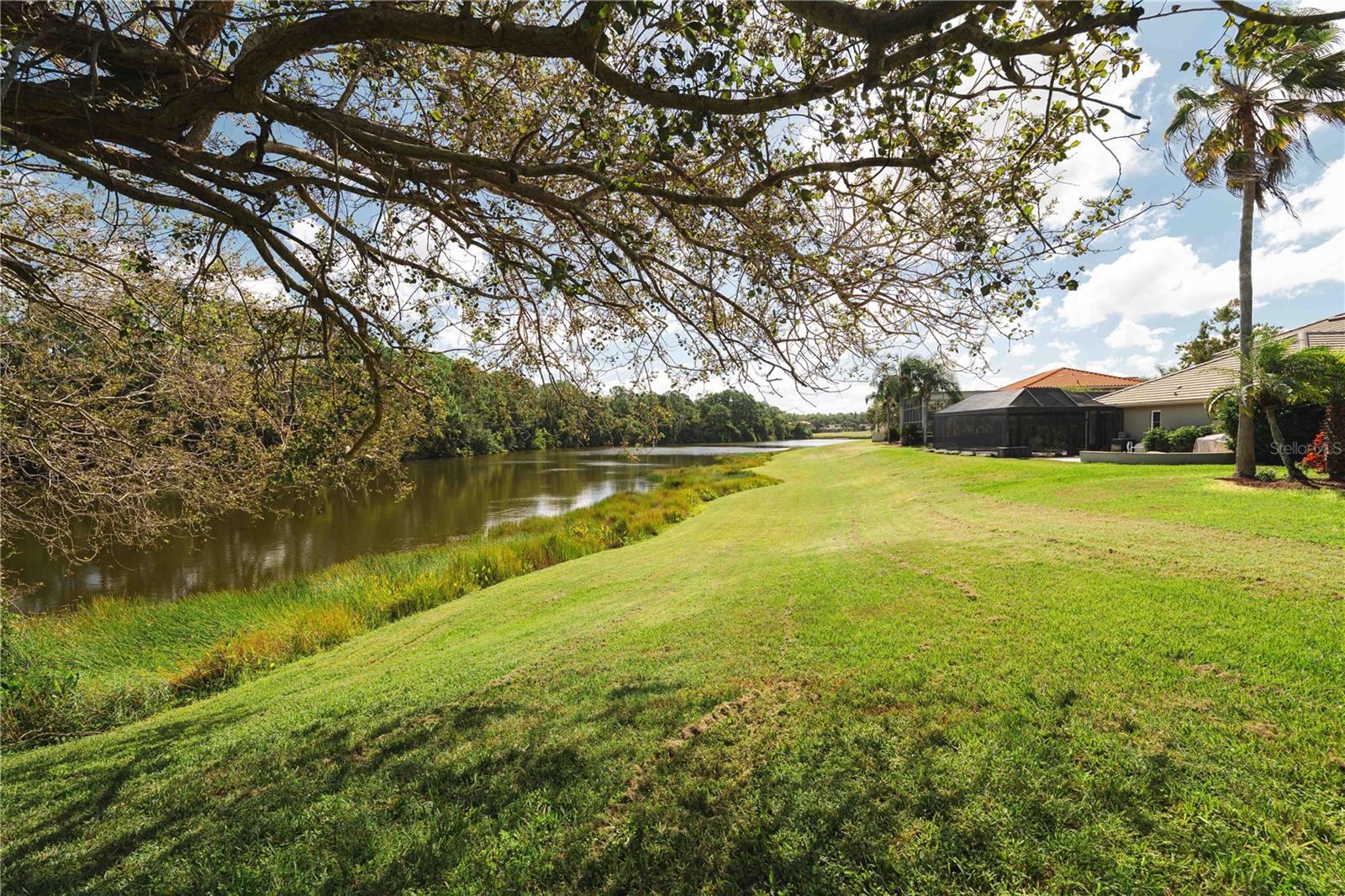 Oldsmar, Florida, 34677, United States, 4 Bedrooms Bedrooms, ,3 BathroomsBathrooms,Residential,Active,1970930