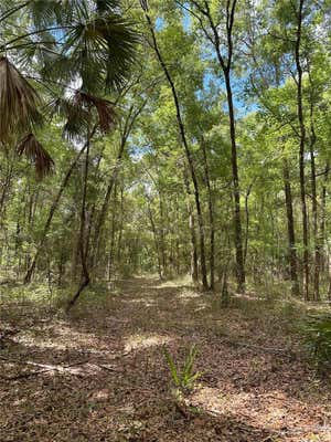 159AC W HWY 318, REDDICK, FL 32686, photo 2 of 12