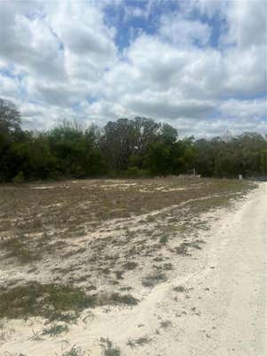 CLEFT ROCK ST, WEBSTER, FL 33597, photo 3 of 4