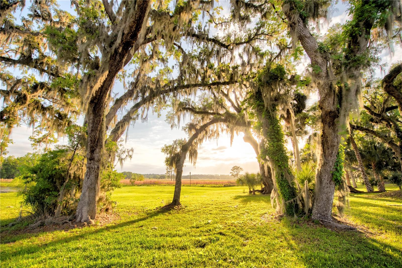 Gainesville, Florida, 32608, United States, 4 Bedrooms Bedrooms, ,3 BathroomsBathrooms,Residential,Active,1989761