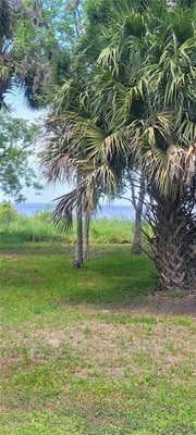 LOT 59 CRITTER CROSSING, PIERSON, FL 32180, photo 2 of 11