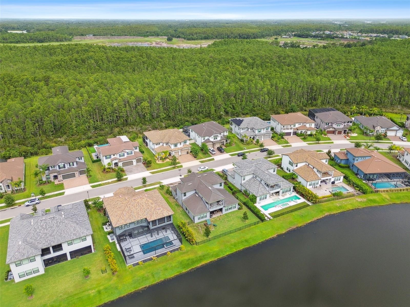Odessa, Florida, 33556, United States, 5 Bedrooms Bedrooms, ,4 BathroomsBathrooms,Residential,Active,1941133