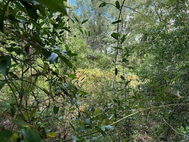 LOT 20,21,22 SW PEACH BLOSSOM STREET, DUNNELLON, FL 34431, photo 1 of 16