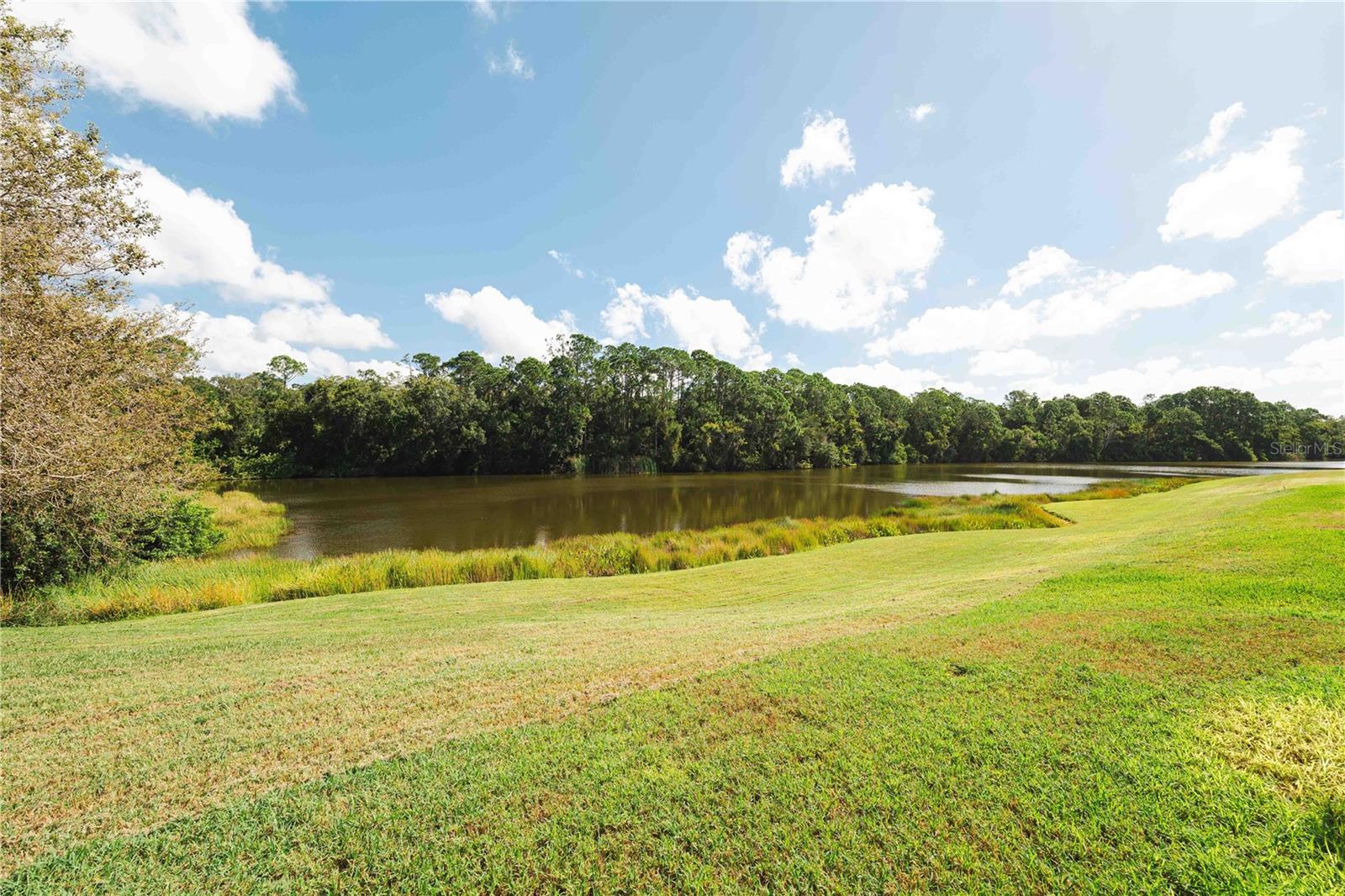 Oldsmar, Florida, 34677, United States, 4 Bedrooms Bedrooms, ,3 BathroomsBathrooms,Residential,Active,1970930