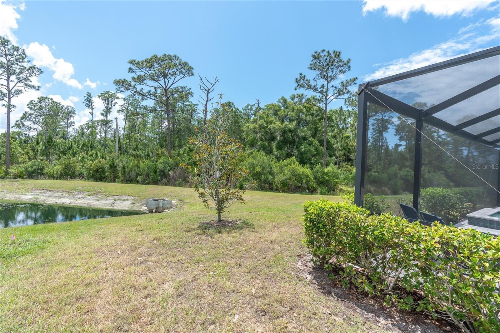 Odessa, Florida, 33556, United States, 5 Bedrooms Bedrooms, ,4 BathroomsBathrooms,Residential,Active,2045800