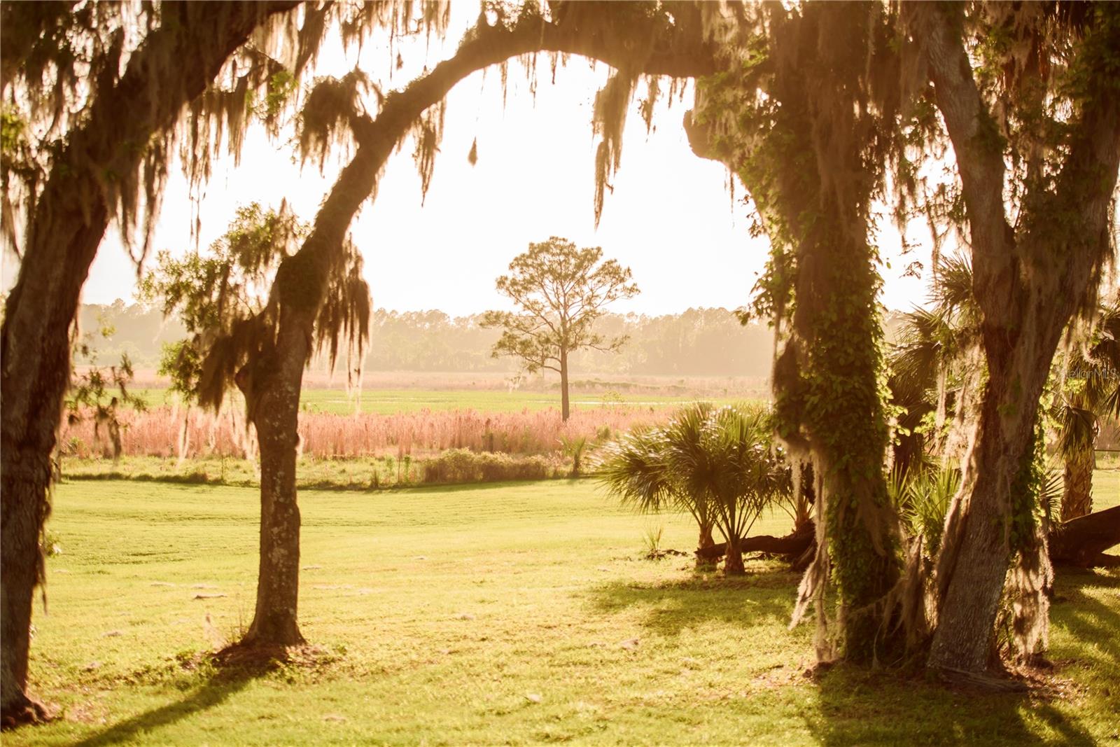 Gainesville, Florida, 32608, United States, 4 Bedrooms Bedrooms, ,3 BathroomsBathrooms,Residential,Active,1989761