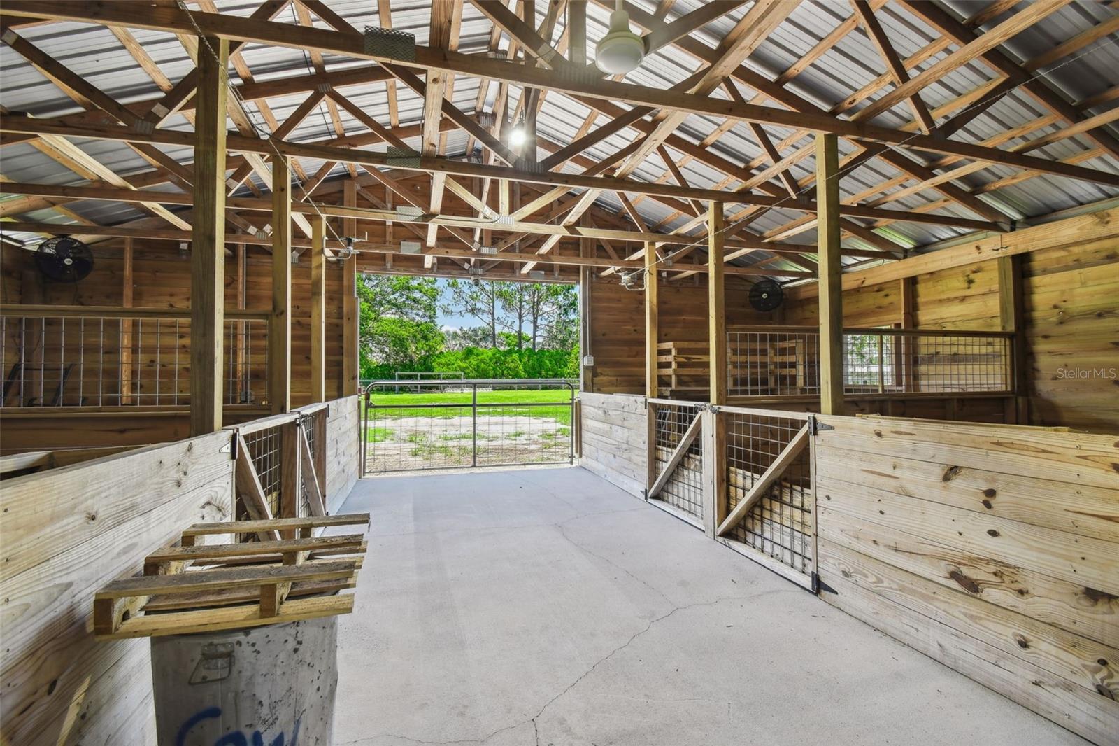 Odessa, Florida, 33556, United States, 5 Bedrooms Bedrooms, ,4 BathroomsBathrooms,Residential,Active,1884999