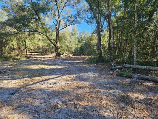 00 NE 23TH, CITRA, FL 32113 - Image 1