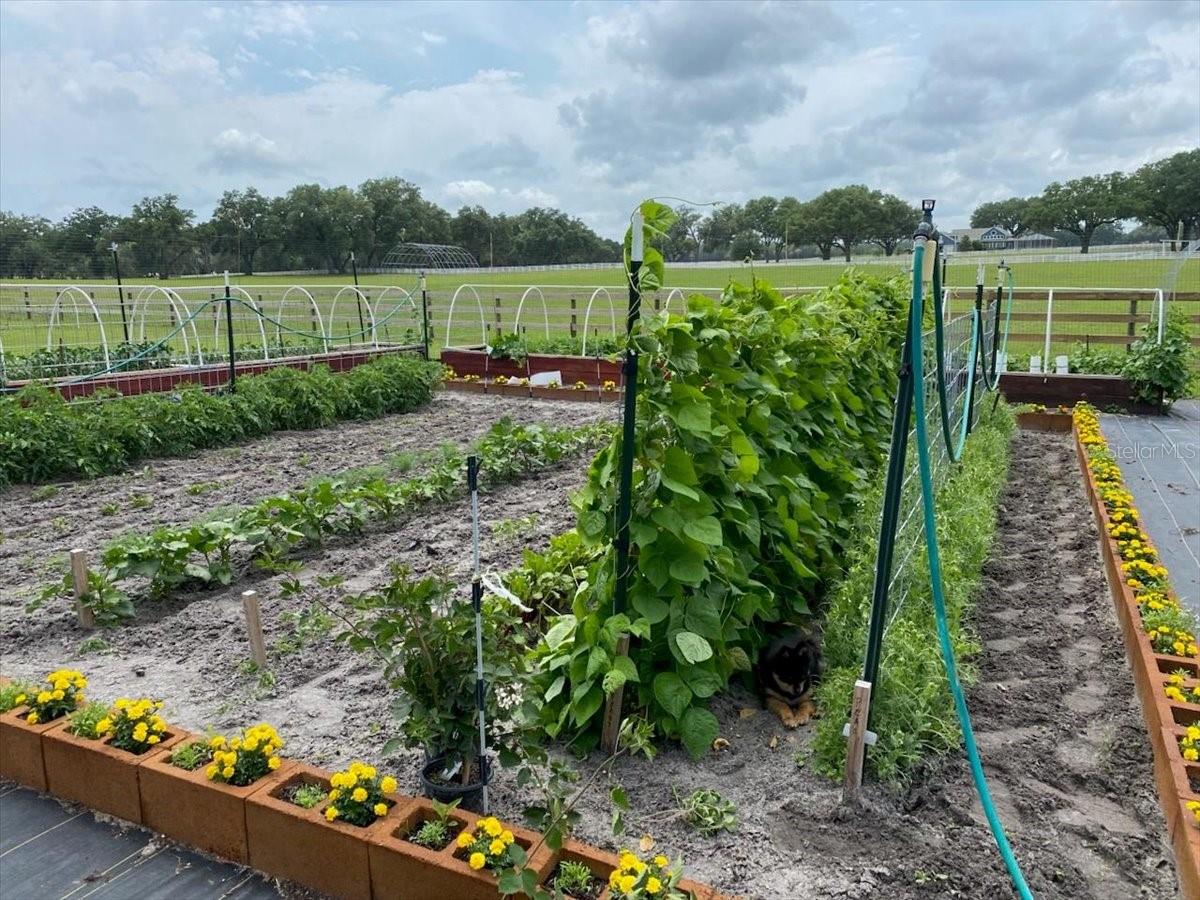 Chiefland, Florida, 32626, United States, 4 Bedrooms Bedrooms, ,5 BathroomsBathrooms,Residential,Active,1954337