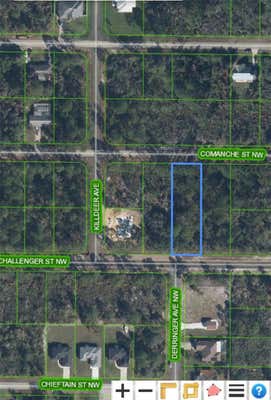 230 COMANCHE ST NW, LAKE PLACID, FL 33852 - Image 1