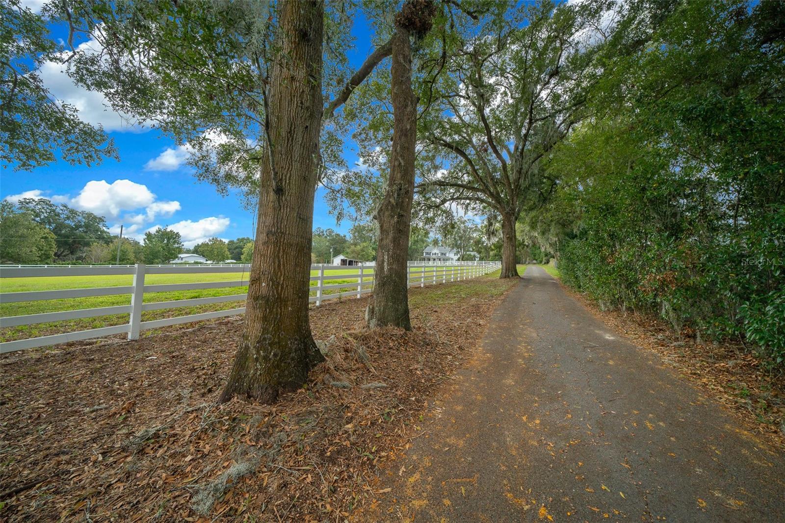 Ocala, Florida, 34471, United States, 5 Bedrooms Bedrooms, ,5 BathroomsBathrooms,Residential,Active,1909634