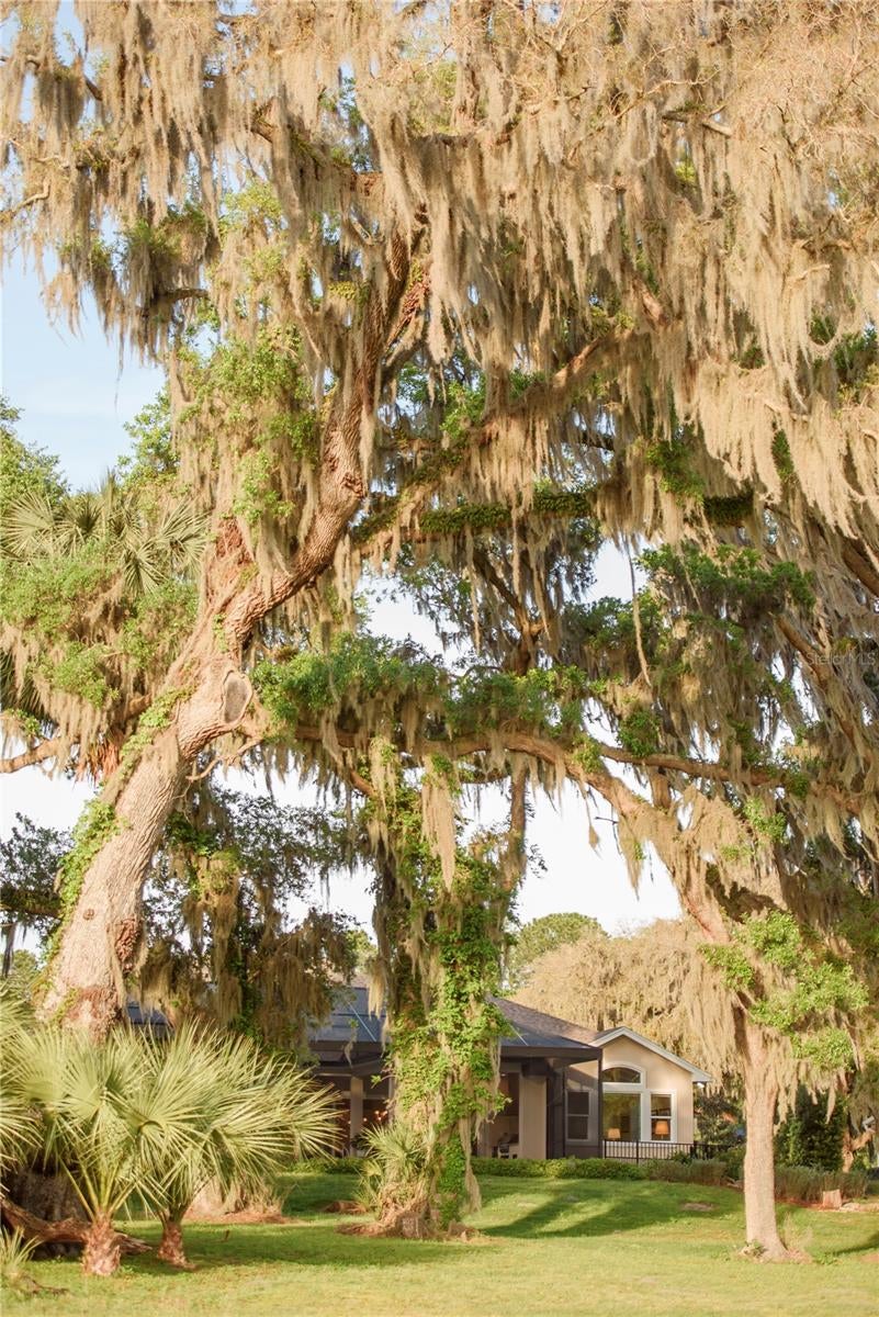 Gainesville, Florida, 32608, United States, 4 Bedrooms Bedrooms, ,3 BathroomsBathrooms,Residential,Active,1989761