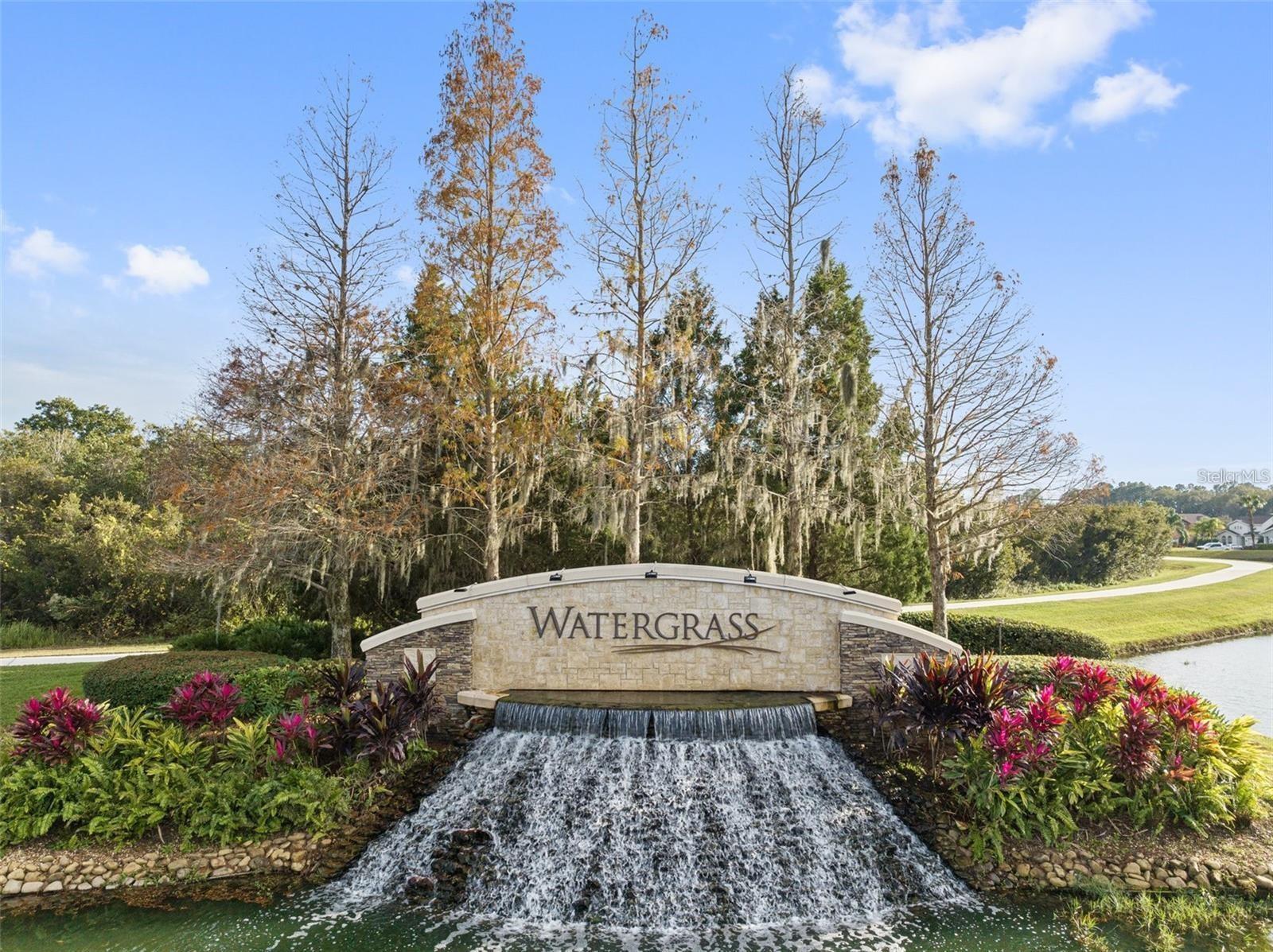 Wesley Chapel, Florida, 33545, United States, 7 Bedrooms Bedrooms, ,6 BathroomsBathrooms,Residential,Active,1894568