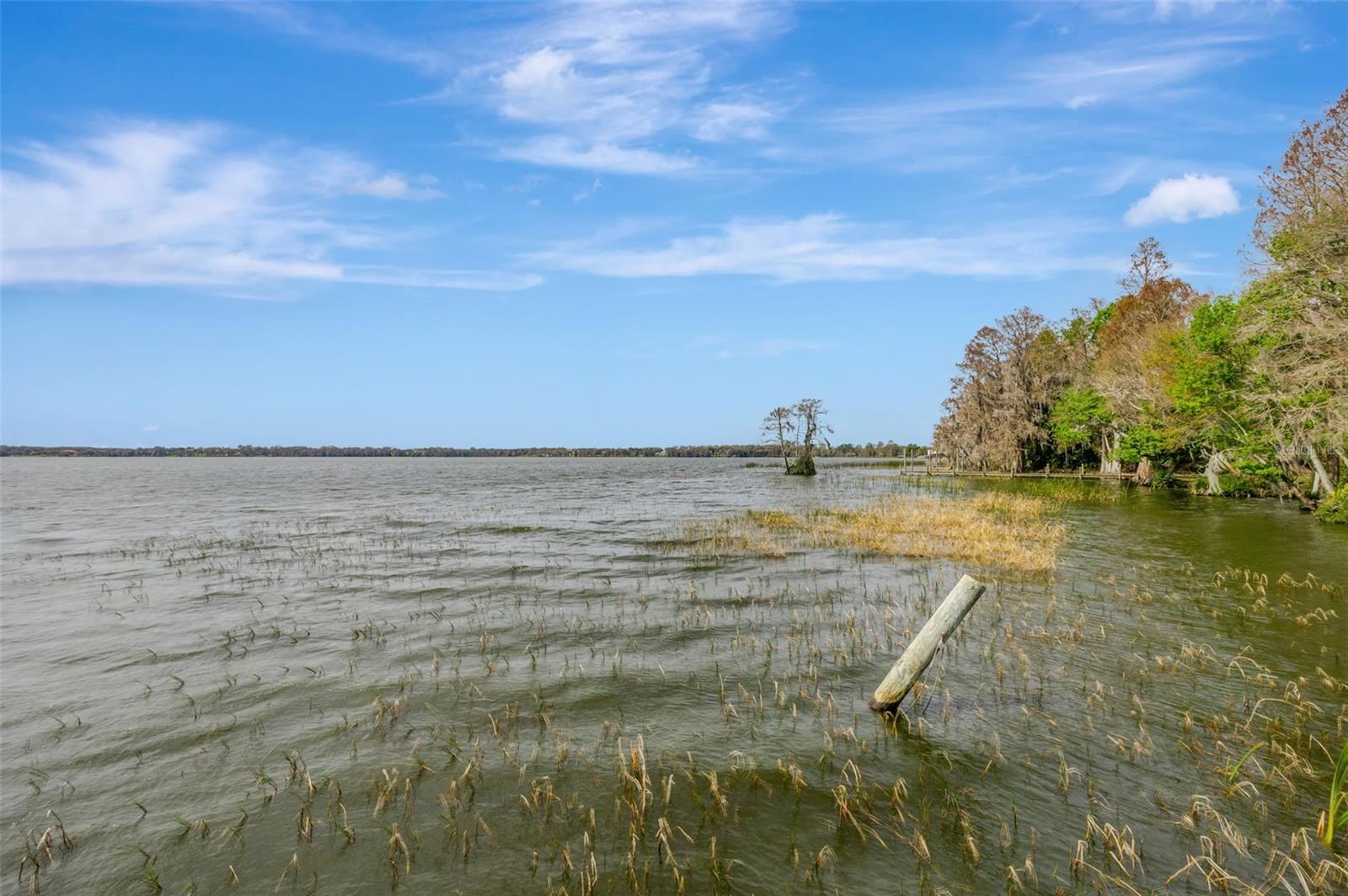 Thonotosassa, Florida, 33592, United States, 2 Bedrooms Bedrooms, ,2 BathroomsBathrooms,Residential,Active,1945271