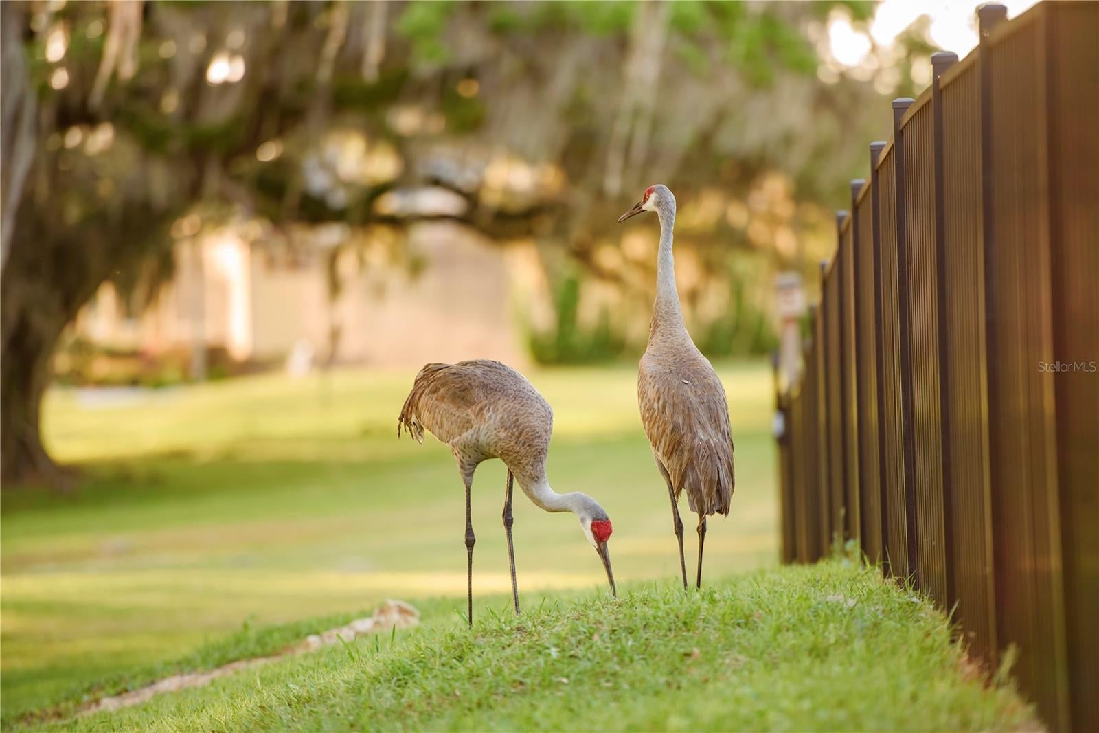 Gainesville, Florida, 32608, United States, 4 Bedrooms Bedrooms, ,3 BathroomsBathrooms,Residential,Active,1989761