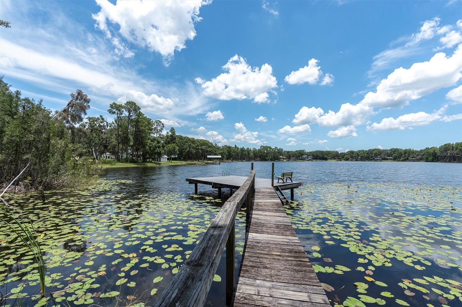 Odessa, Florida, 33556, United States, 4 Bedrooms Bedrooms, ,3 BathroomsBathrooms,Residential,Active,1871641