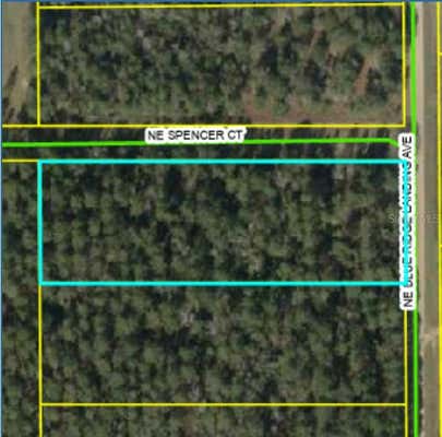 NE BLUE RIDGE LANDING AVE, LEE, FL 32059 - Image 1