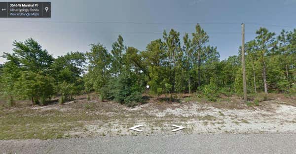 3546 W MARSHAL PL, DUNNELLON, FL 34433 - Image 1