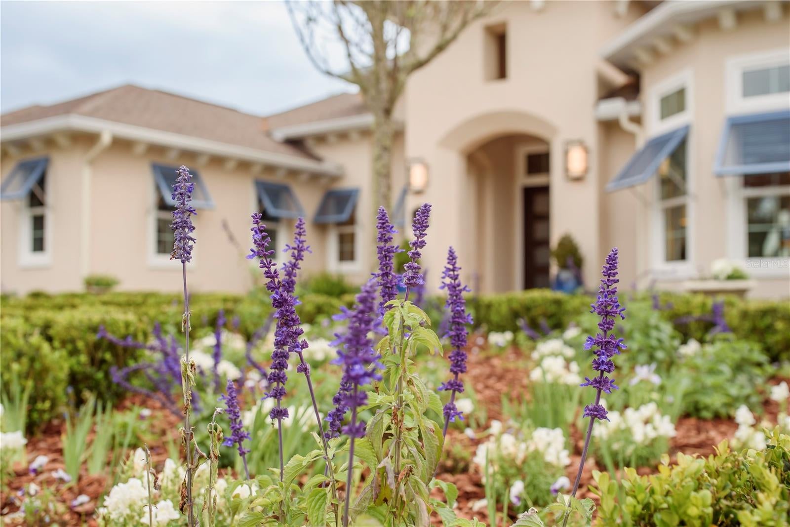 Gainesville, Florida, 32608, United States, 4 Bedrooms Bedrooms, ,3 BathroomsBathrooms,Residential,Active,1989761