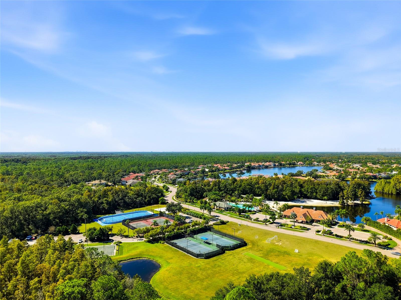 Tampa, Florida, 33647, United States, 5 Bedrooms Bedrooms, ,5 BathroomsBathrooms,Residential,Active,1990671